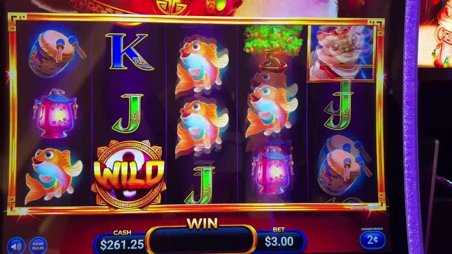 556bet download apk guia completo para baixar e instalar o aplicativo com segurança 556bet download apk guia completo para baixar e instalar o aplicativo com segurança